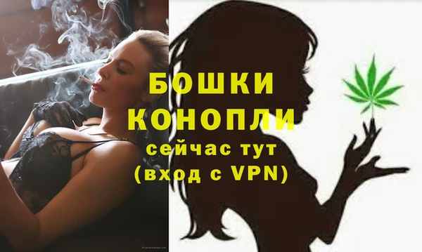 СК Аркадак