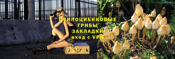 прущие крисы Арсеньев