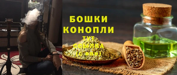 дживик Баксан